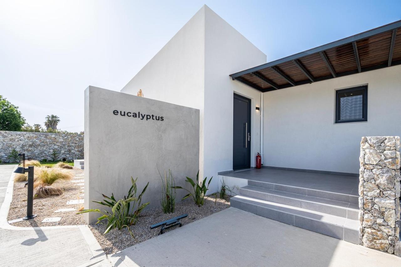 Campo Premium Stay Private Pool Villas 科斯镇 外观 照片